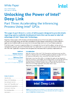 Intel® Deep Link and Inferencing Process