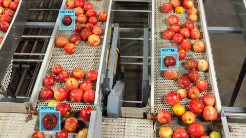 Primer plano de una máquina clasificadora de manzanas en funcionamiento monitoreada por una solución de visión artificial. Sobre tres manzanas figuran recuadros azules con la palabra “podrida”.